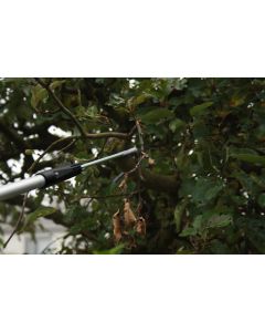 profi Obstschüttler mit M8 Edelstahl für Teleskopstangen